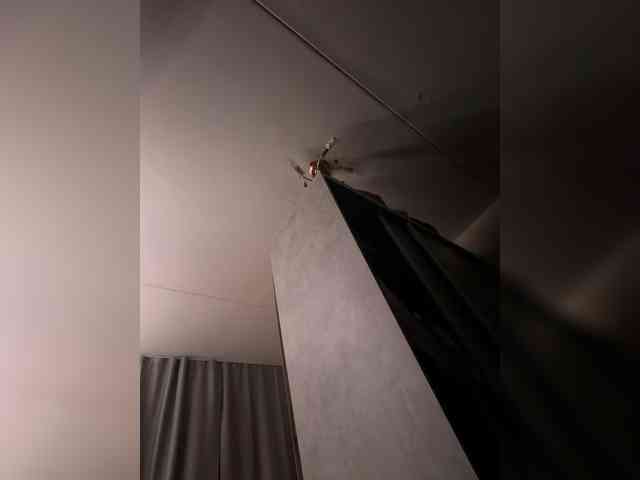 Asian-Hunter Live Webcam on BongaCams