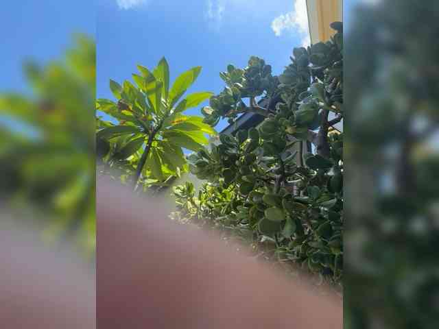 Bambam4U Live Webcam on BongaCams