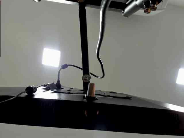 Bylie-Hills Live Webcam on BongaCams Bylie-Hills Live Webcam on BongaCams