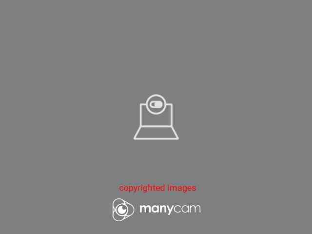 Модель: bamby18