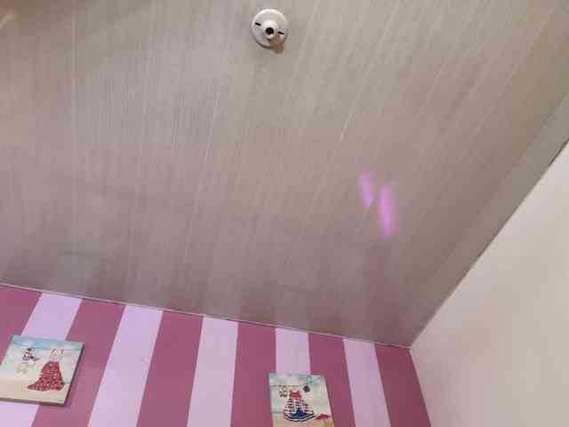 lauraltt webcam