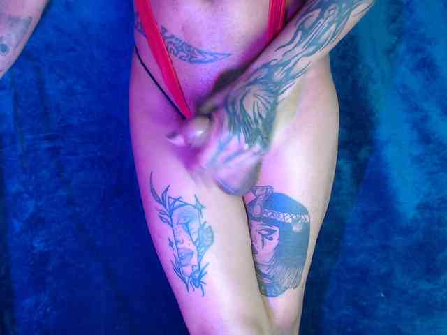 Bigcocktrans Live Webcam on BongaCams