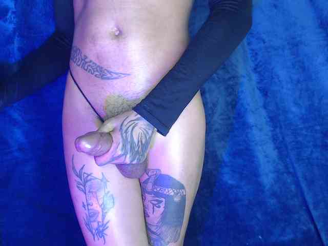 Bigcocktrans Live Webcam on BongaCams