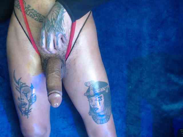 Bigcocktrans Live Webcam on BongaCams