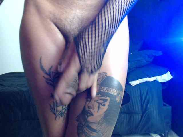 Bigcocktrans Live Webcam on BongaCams