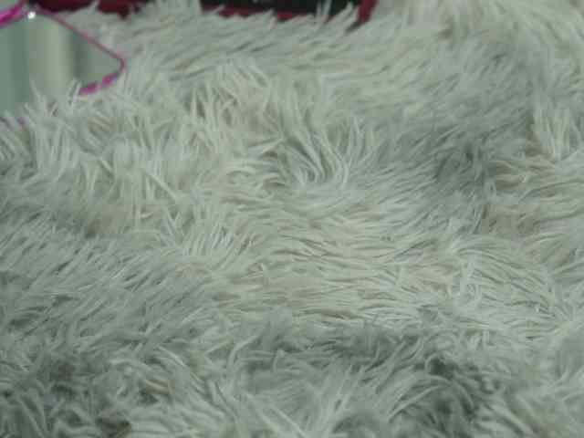 Emilechka webcam