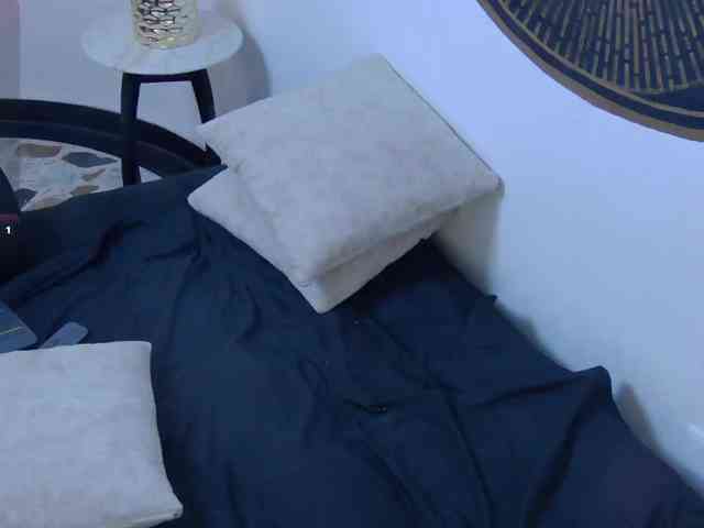 Lunamistyc webcam