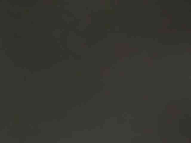 _LutiK_ webcam