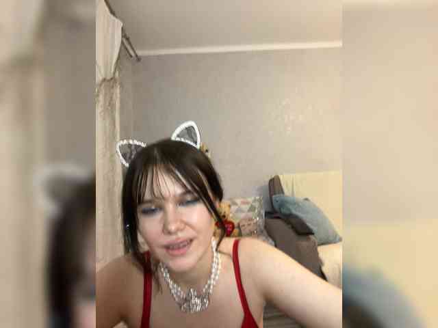 Klein_Maus webcam