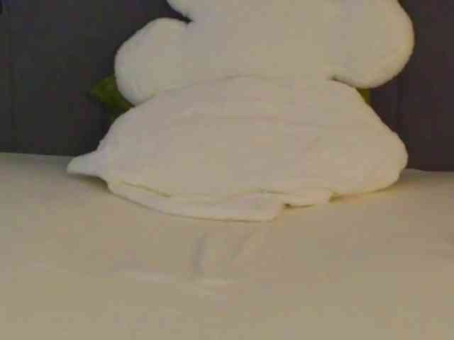 LauraMirage LauraMirage