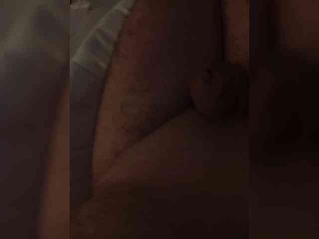 Alimel webcam