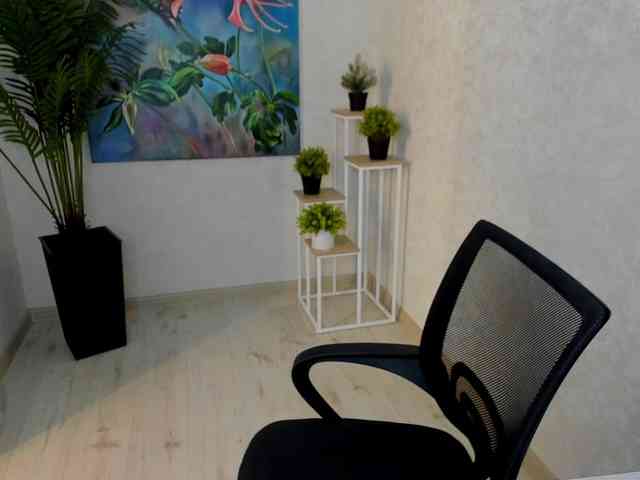 SnowingWinter webcam