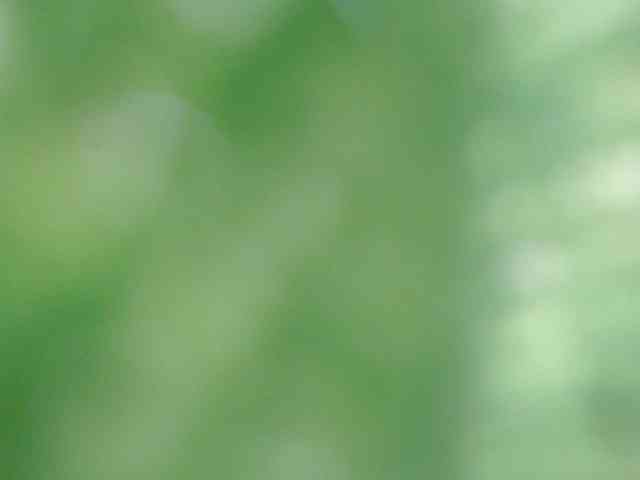 TianaMorrison Live Webcam on BongaCams