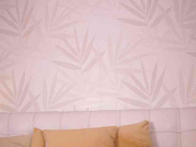 NyrobiNova NyrobiNova