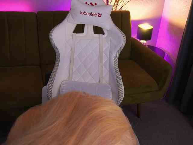 AngelAmaliaa webcam