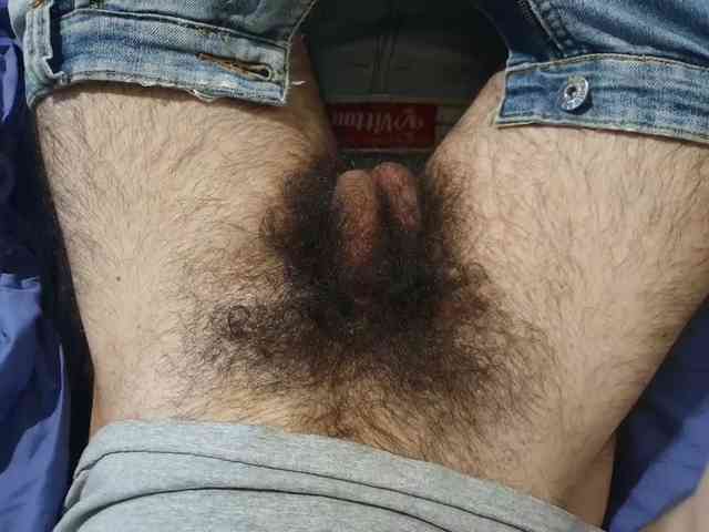bomvemcam