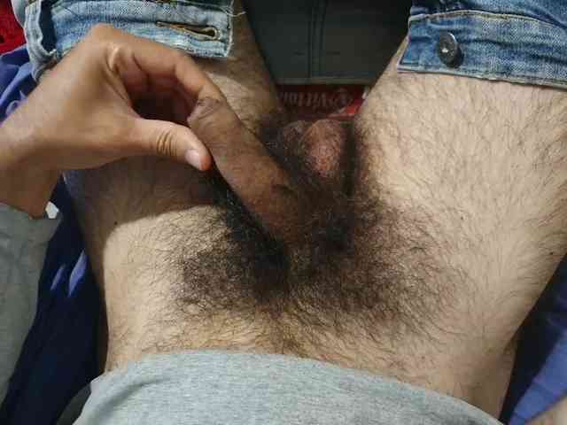bomvemcam