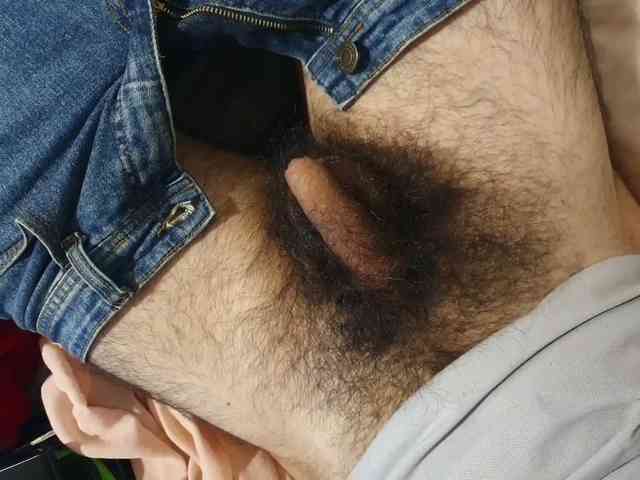 bomvemcam