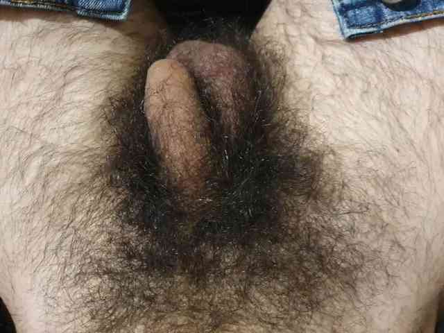 bomvemcam