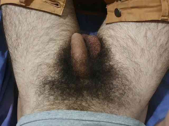 bomvemcam