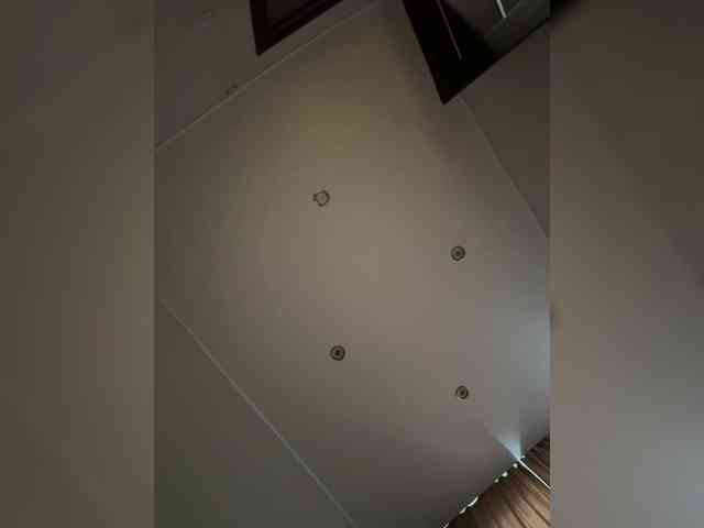 dark-willoww dark-willoww