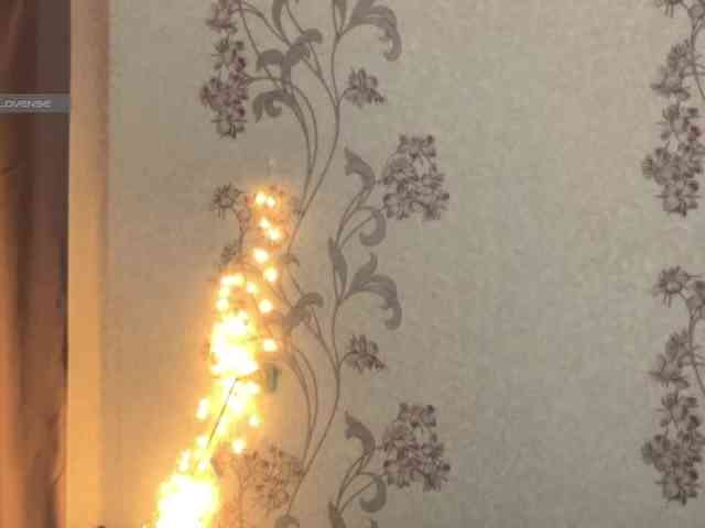 dark-willoww dark-willoww