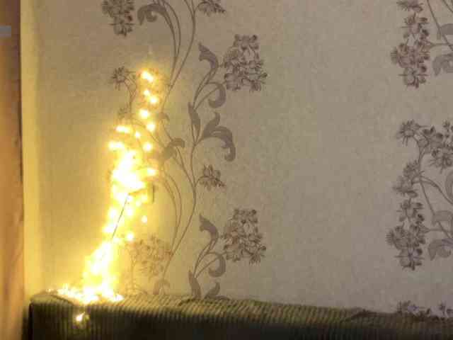 dark-willoww dark-willoww