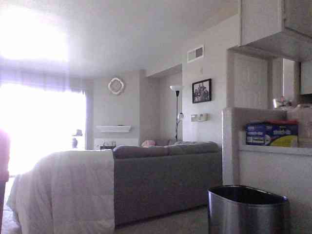 BubblyBlossom webcam