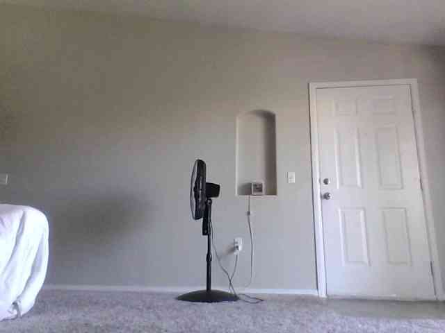 BubblyBlossom webcam