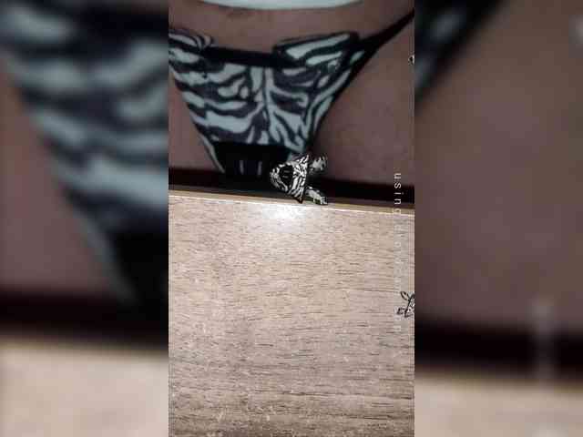 HappyZebra HappyZebra