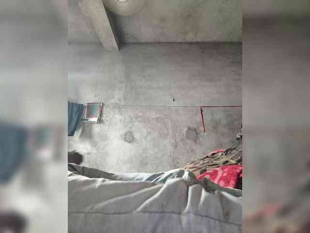 Lovebirds1436 webcam