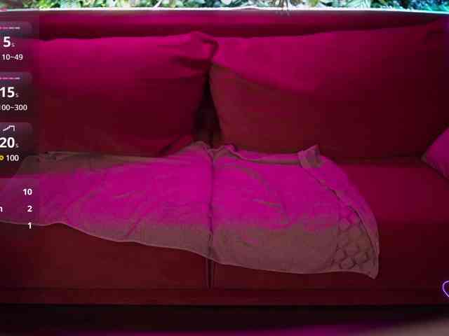 DonnaLust webcam