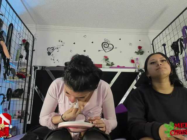 Dreamgirlss Live Cam on BongaCams