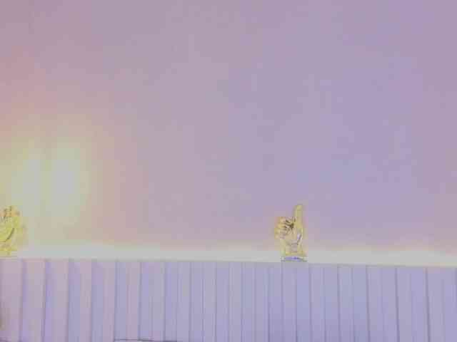 AidaMoreno webcam