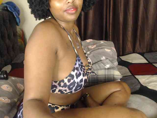 Dotie webcam