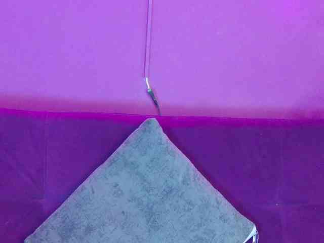 antonellacontti webcam