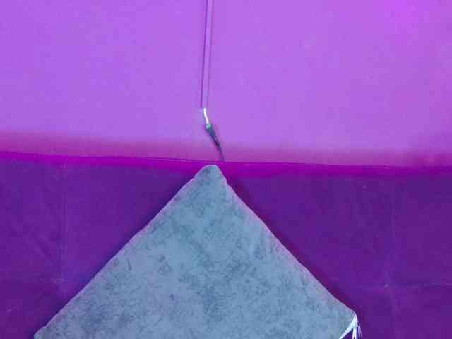 antonellacontti webcam