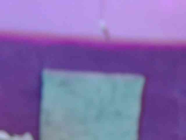 antonellacontti webcam