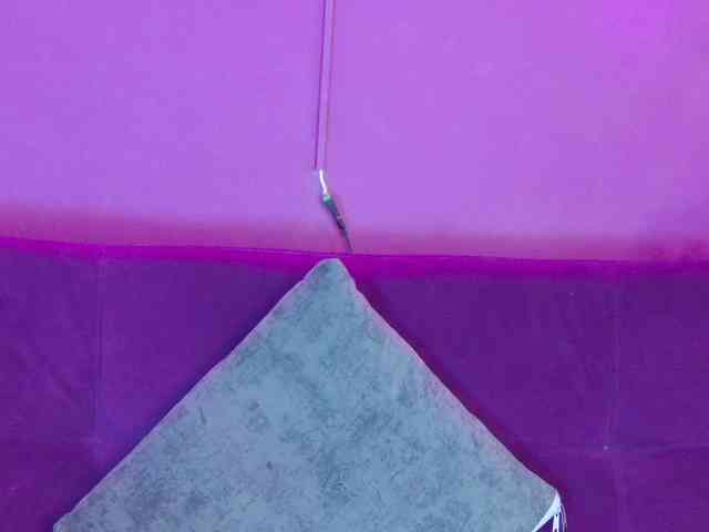 antonellacontti webcam