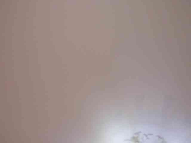 MissEssie webcam
