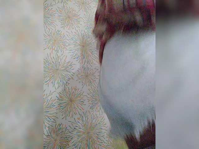 Valeriya31's BongaCams show and profile