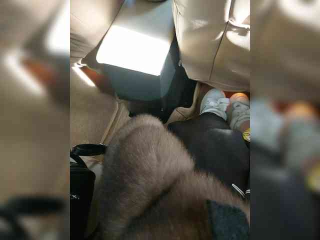 ZlayaMamulya webcam