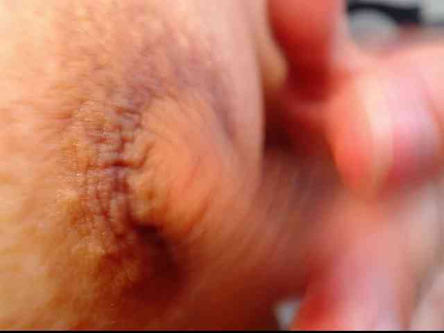 arianagonzale webcam