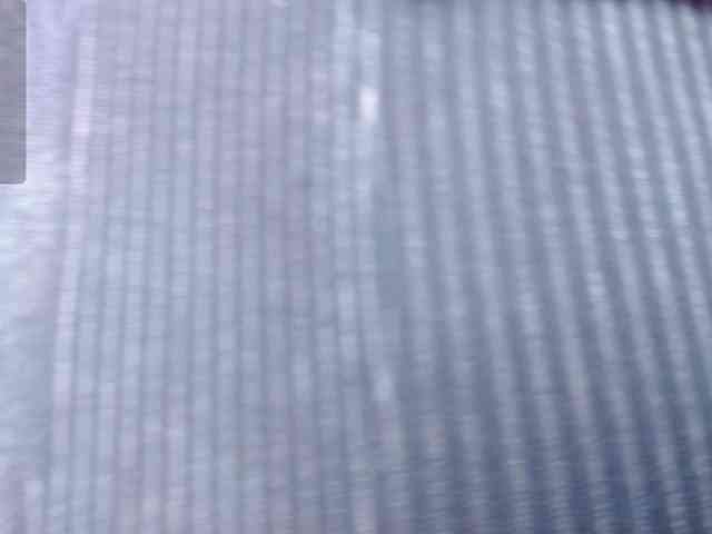 arianagonzale webcam