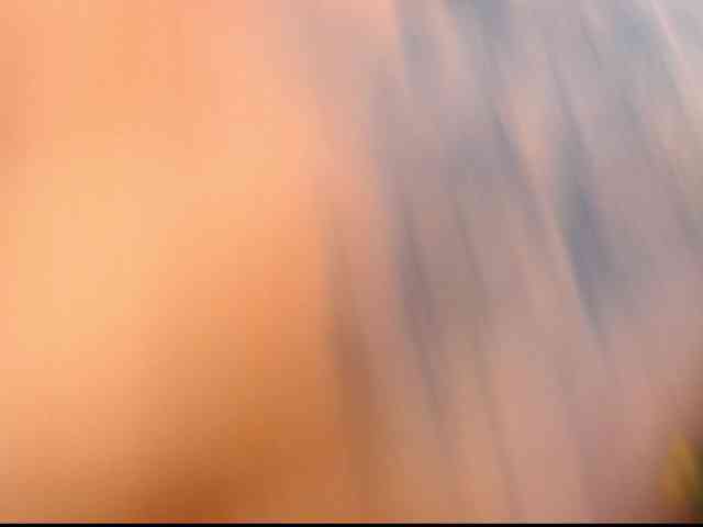 arianagonzale webcam