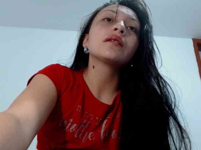 snow4777 webcam