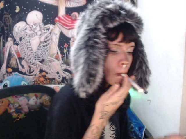 hachi-kitty's BongaCams show and profile