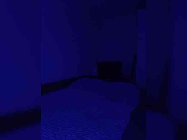 CarpeDiem888 webcam