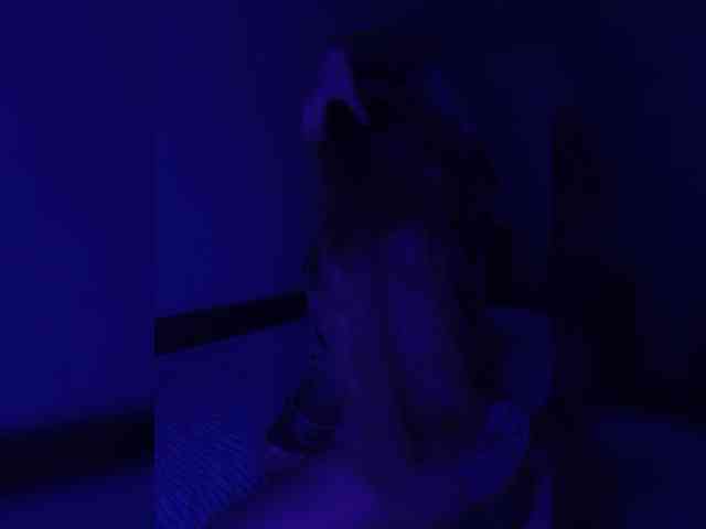 CarpeDiem888 webcam