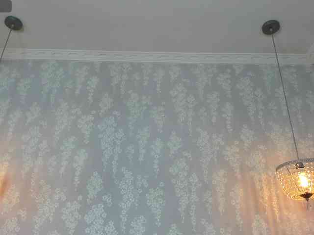 zephyra-angels zephyra-angels